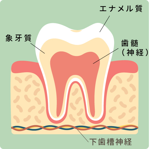 むし歯の進行　C0